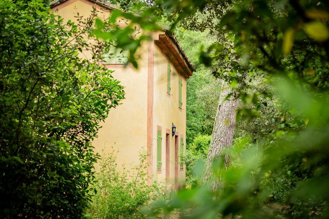 Château Martinay Hotel Carpentras Ngoại thất bức ảnh